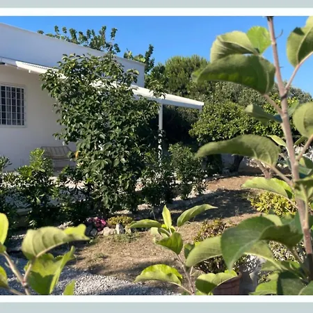 Holiday home Casa Tra Gli Ulivi *