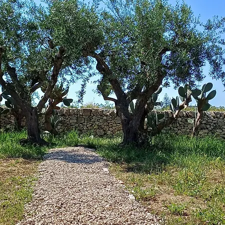 Casa Tra Gli Ulivi Holiday home
