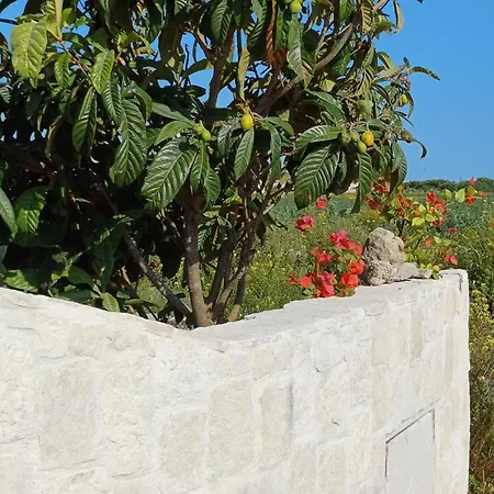 Casa Tra Gli Ulivi Holiday home *